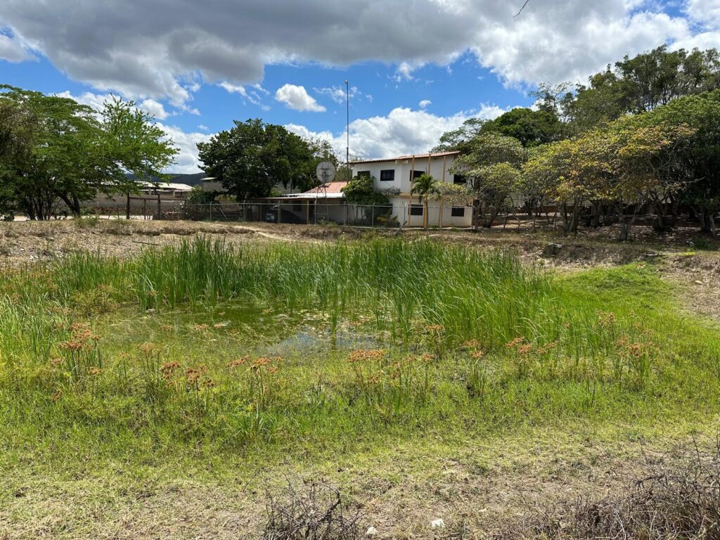 0b5e413f-e65d-4869-877b-7f7c7ae2d884