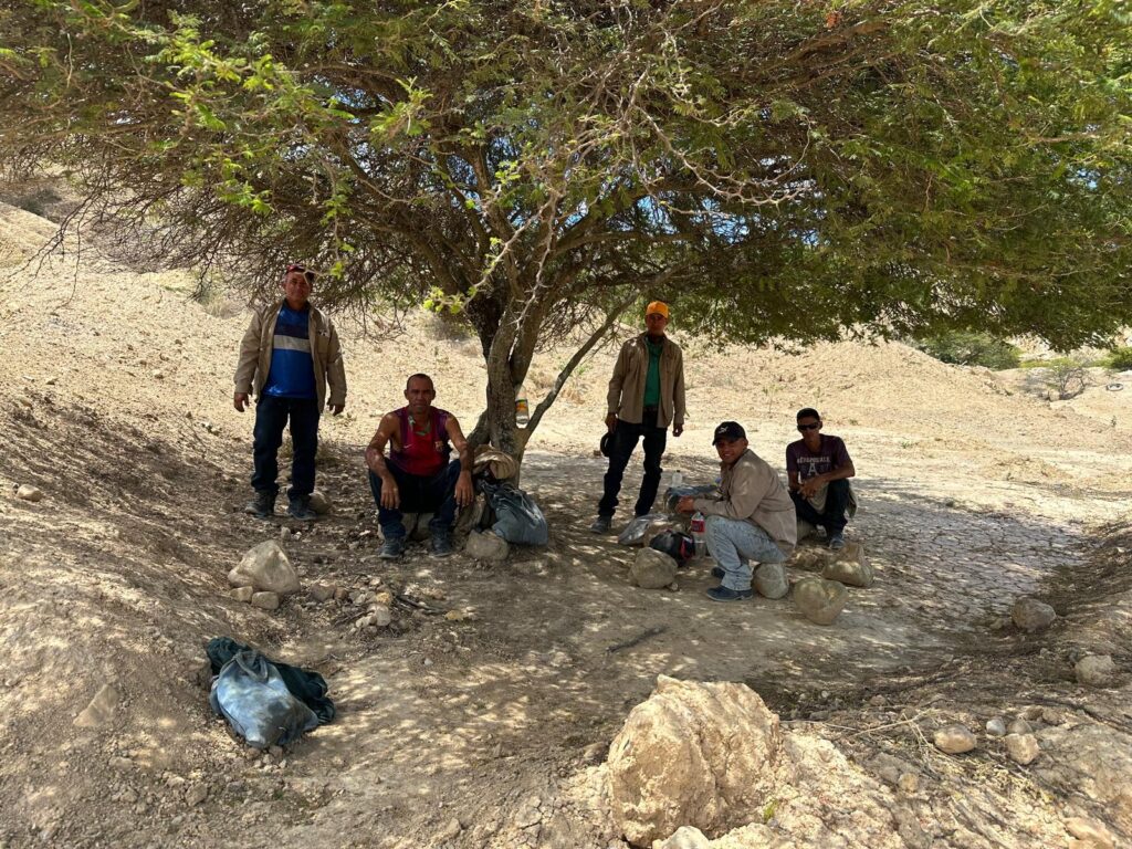 5644fdad-96a4-49fa-a926-3ae21de450f1